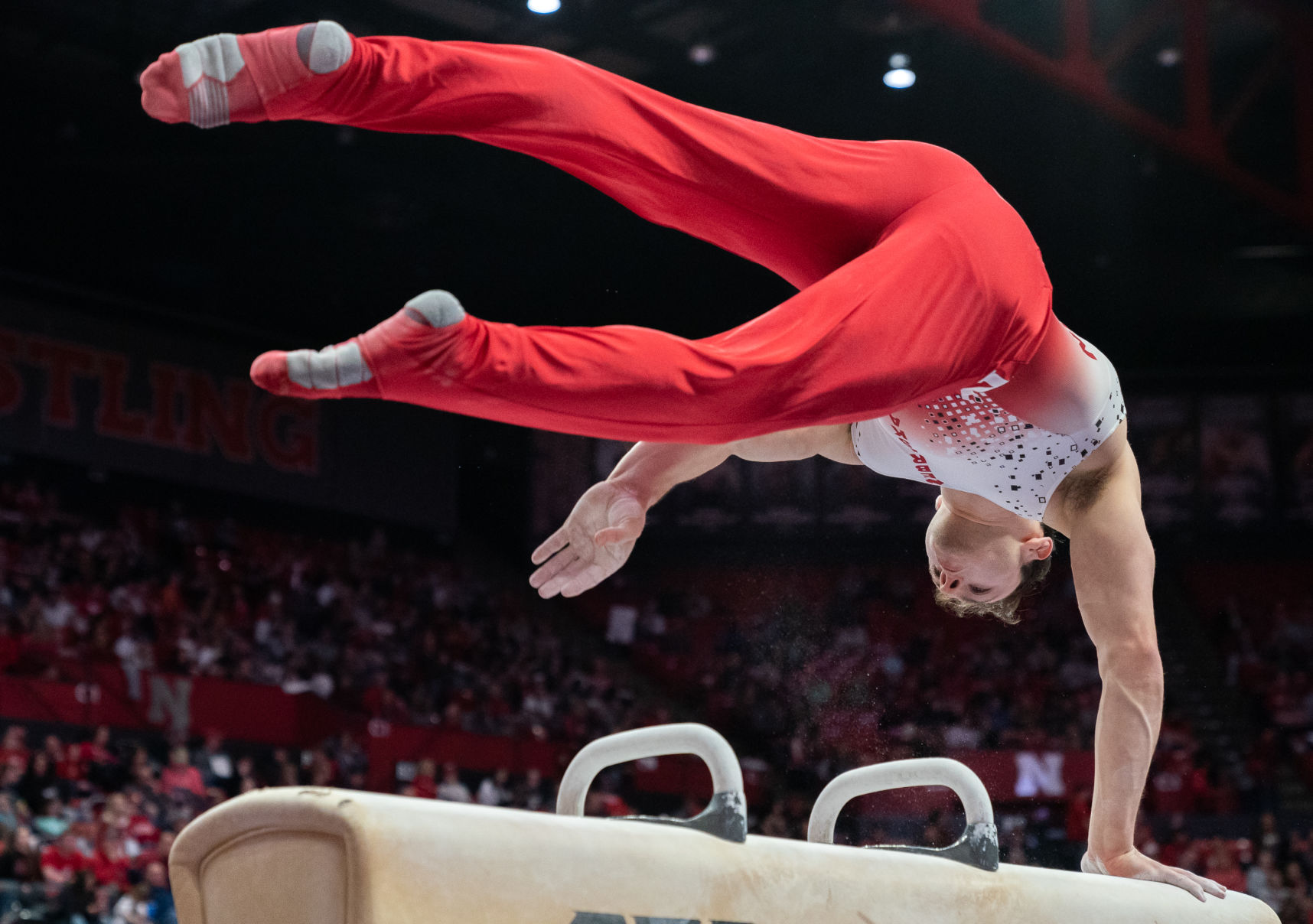 Tumble N' Rumble Photo No. 16
